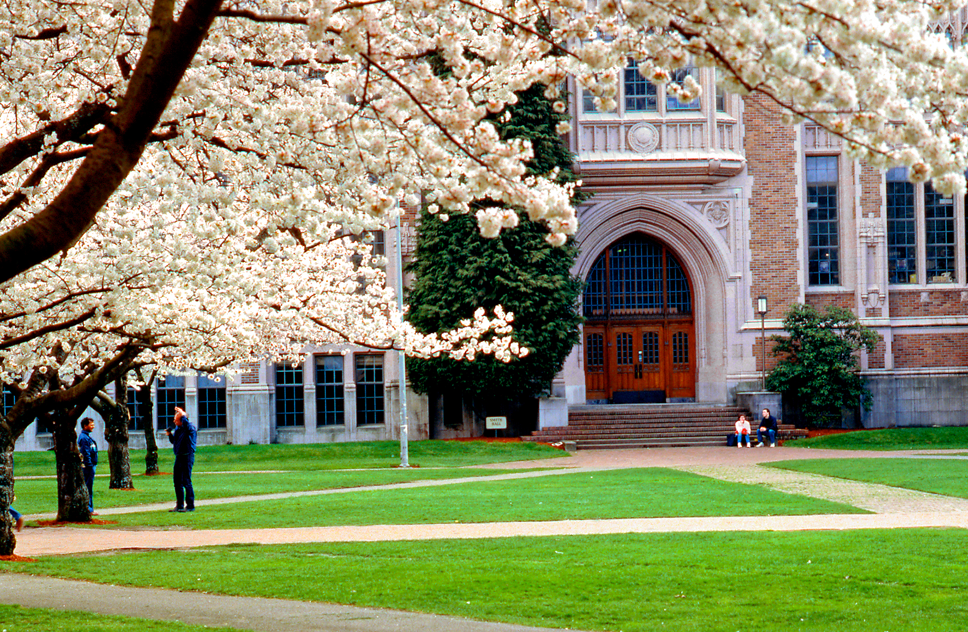 Exterior of Smith Hall with cherry trees in the foreground.