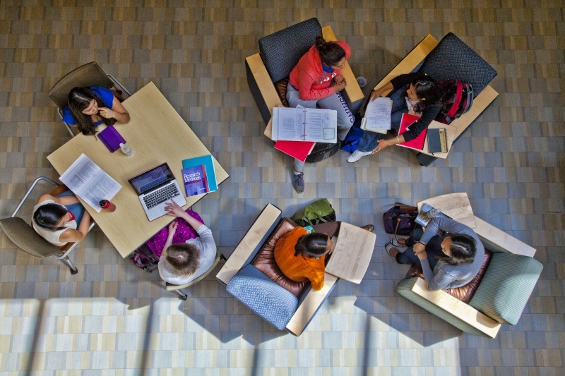 Students in the School of Social Work collaborative