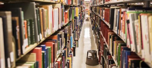 Shelves of library books